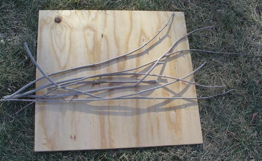Piece of plywood with seven cut branches laying on it.