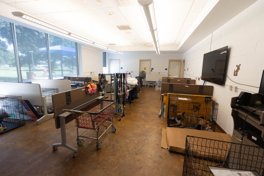 Dogs sit in crates in a conference room.