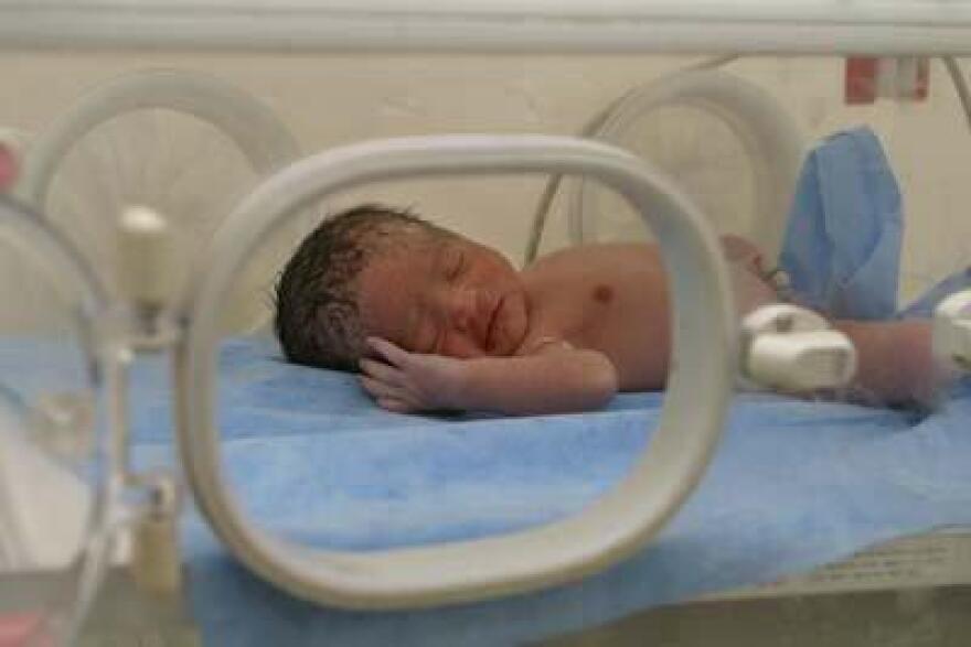 A premature baby sleeps in an incubator. 