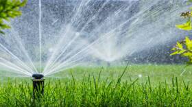 50% of Bozeman's drinking water douses lawns in summertime