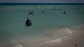 Swimmers enjoy the water in Miami Beach. Florida is reporting record daily totals of new coronavirus cases. 