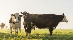Green Parks Energy will use products like livestock manure to produce renewable natural gas.