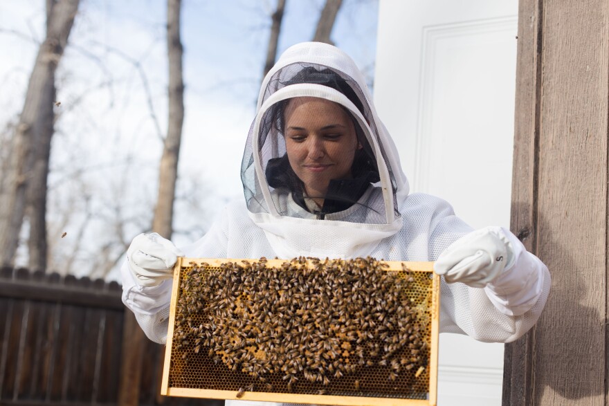 A woman in a white bee suit holds a tray of honeycomb with honey bees.