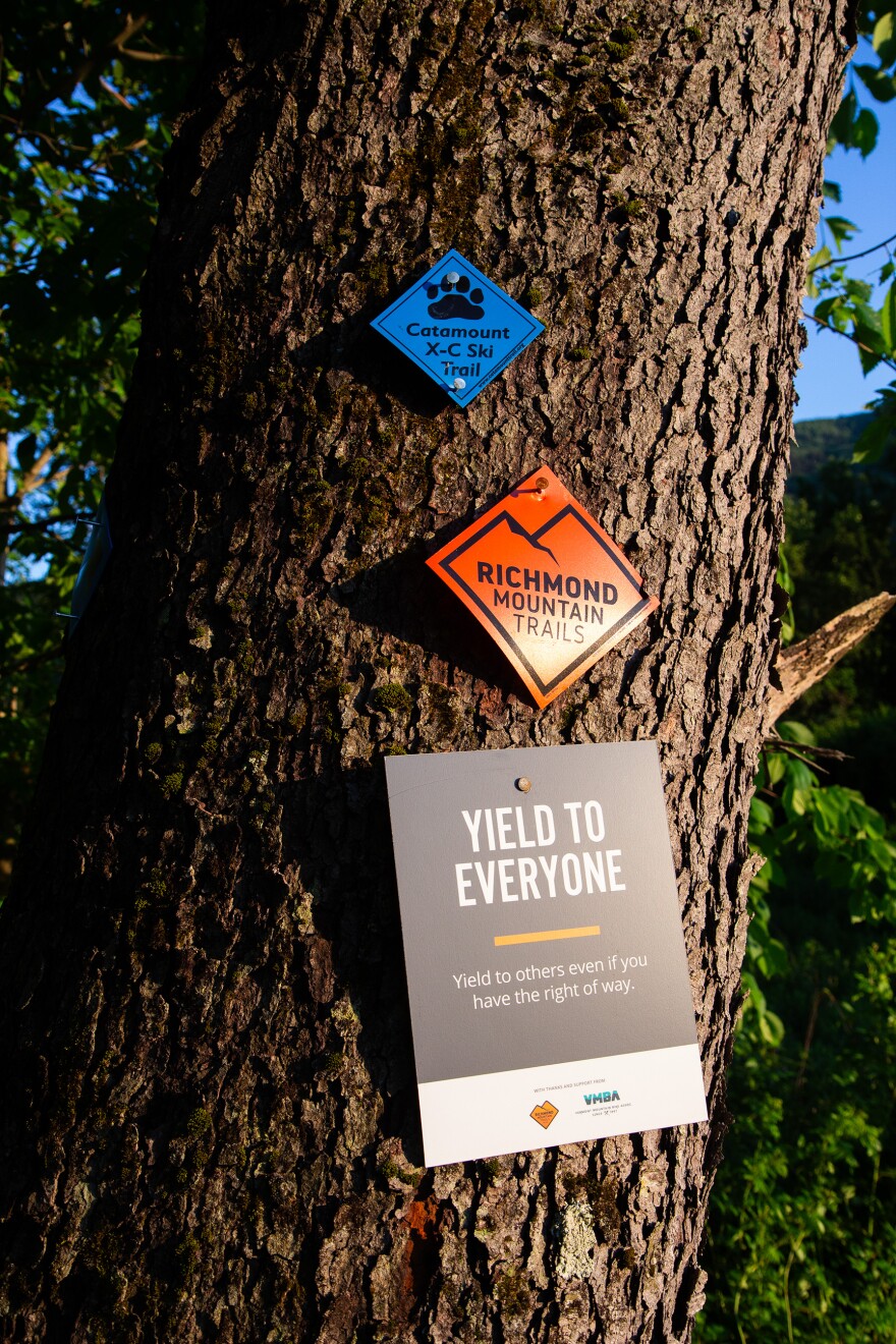 A photo of a tree trunk with three little signs -- on top, a blue diamond with a paw print and the words catamount X-C ski trail, in the middle, an orange diamond with the words richmond mountain trails, and on the bottom, a grey rectangle reading yield to everyone