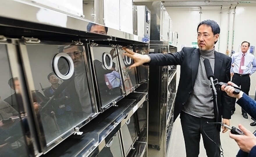 Bird flu researchers use ferrets to study how the virus mutates and spreads. Here virologist Yoshihiro Kawaoka points to the ferret cages in his laboratory at the University of Wisconsin-Madison.