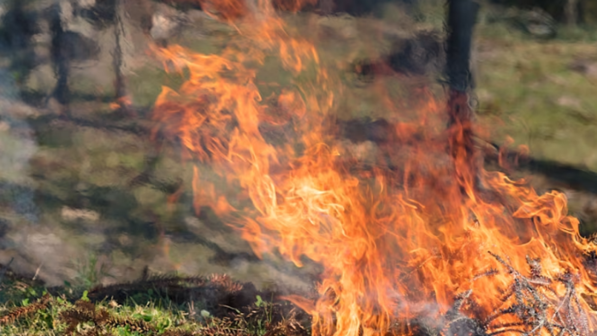 Majority of Region Under Burn Bans With Extreme Heat & TinderBox Conditions
