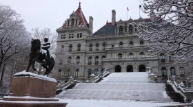 The New York State Capitol. (Matt Ryan/New York Now)
