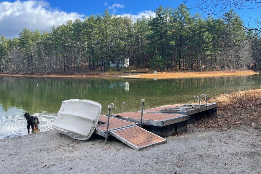 Michael Fitzgibbons' backyard in Denmark, Maine, in Nov. 2022.