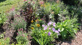 Photos of the home garden of CAI's The Garden Lady, C.L. Fornari 