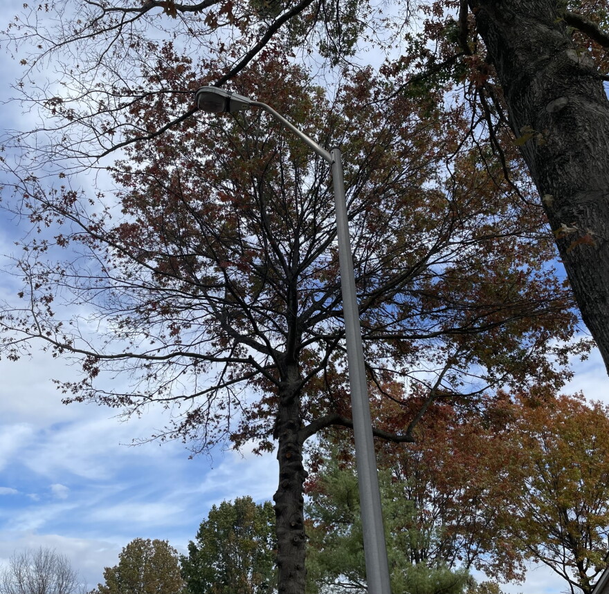 Lexington Streetlight