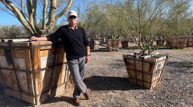 Rob Kater Native Resources with ironwood trees