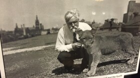 Lion on top of Milwaukee library