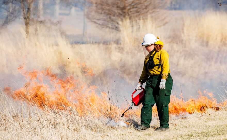 A controlled burn is being done at Fairview Park by burn bosses from environmental consulting company Stantec.