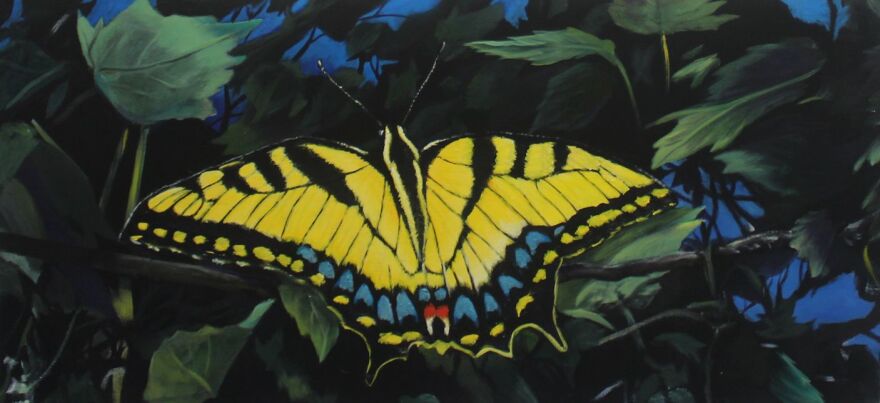 Paul Vincenti oil painting 'Tiger Swallowtail'