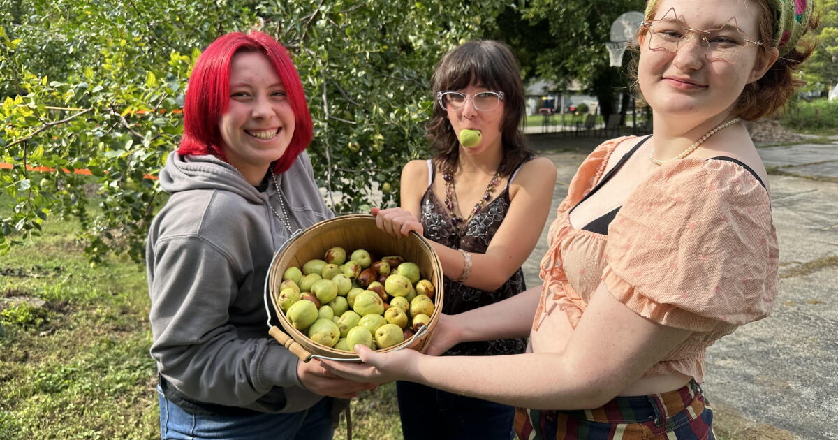 A Kansas City nonprofit turned vacant lots into free fruit orchards ...