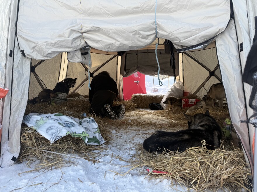 The 2026 Yukon Quest Alaska 750 allowed mushers or their handlers to set up an open-ended dog tent at the 24-hour mandatory layover. Fairbanks musher Jonah Bacon was the only one who took advantage of the rule. (Patrick Gilchrist/KUAC)