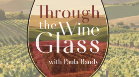 COver art showing title and host name over translucent half full red wine glass graphic looking through like a lens to vineyard scene and hills in the background