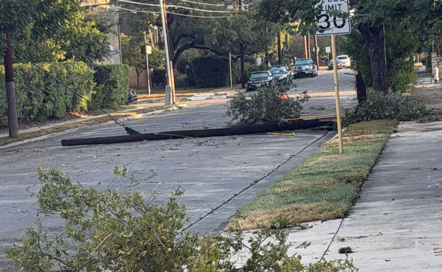 Overnight storms downed trees in parts of San Antonio, including in this Monte Vista neighborhood, on Aug. 28, 2026.