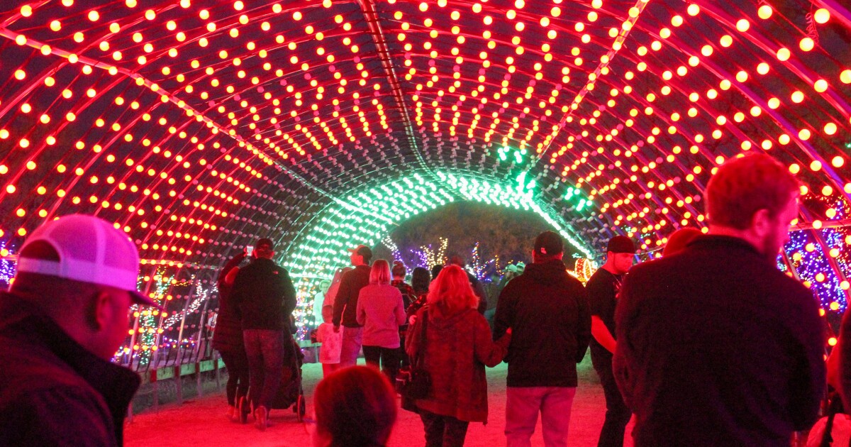 Crowds and displays larger this season at Winter Light Fest