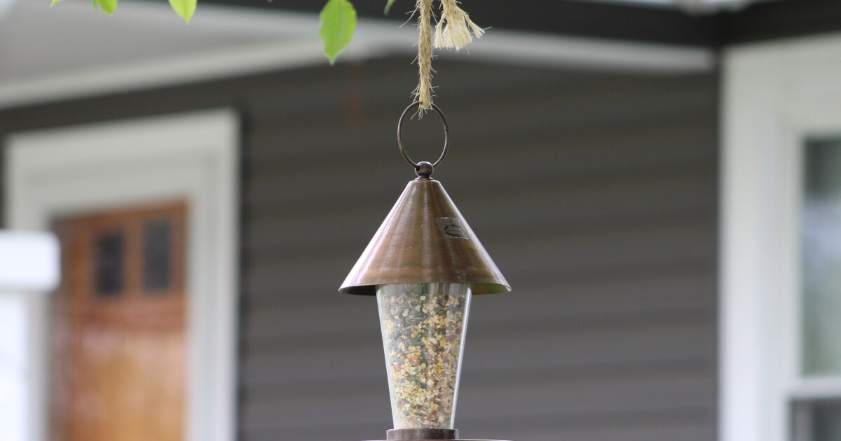 Indiana is seeing an avian flu outbreak. What does that mean for bird
