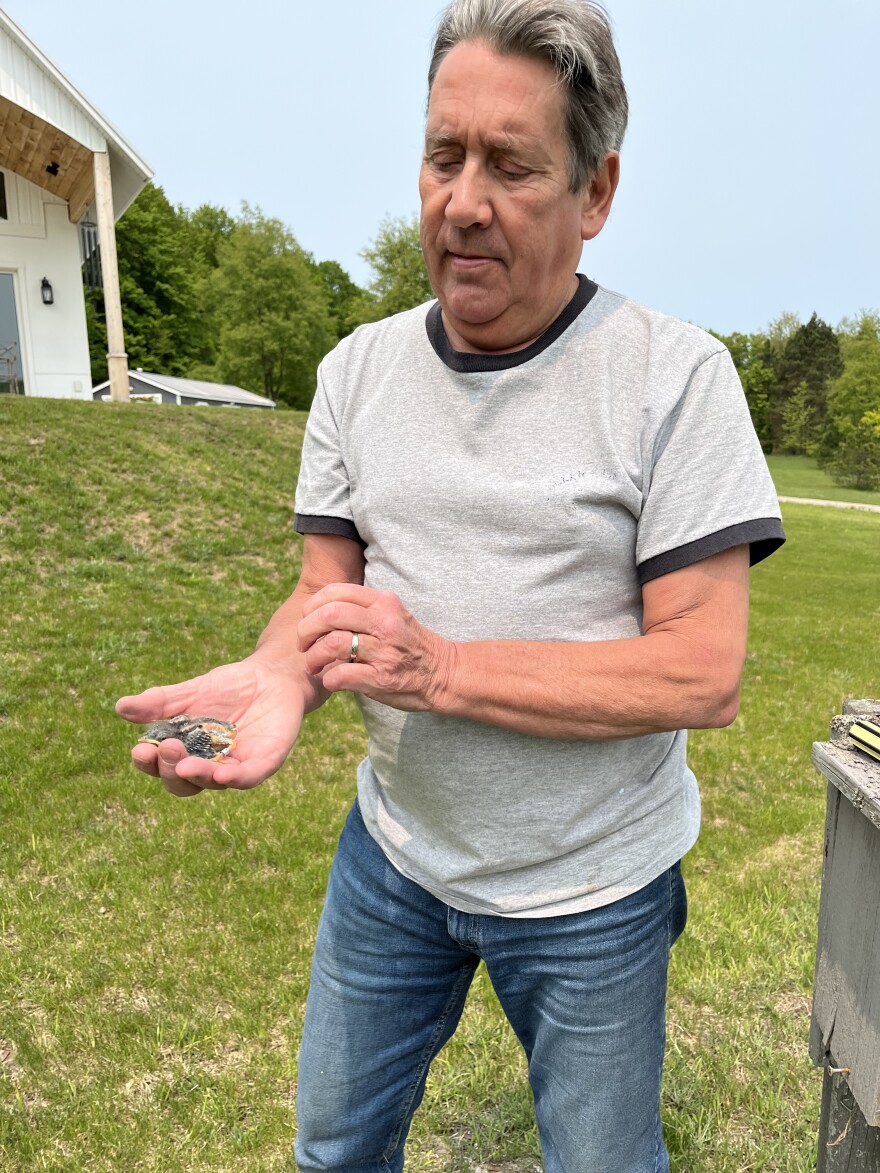 Greg Miller holding baby bluebird