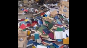 Hundreds of books of multiple colors are scattered on the ground 