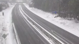 Snow along Interstate 26 on January 31, 2026.