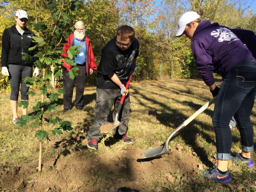 Triston (c) works with his team to fill in the soil around the sugar maple tree they just planted.