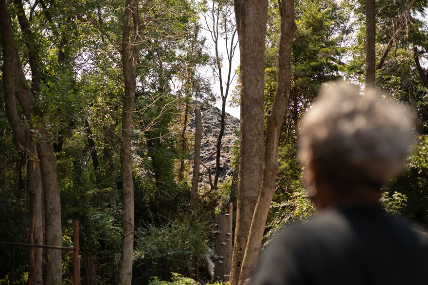 Dallas resident Marsha Jackson's back is turned from the camera. She's looking at Shingle Mountain, a massive pile of shingles and roofing materials that lies next door to her home.