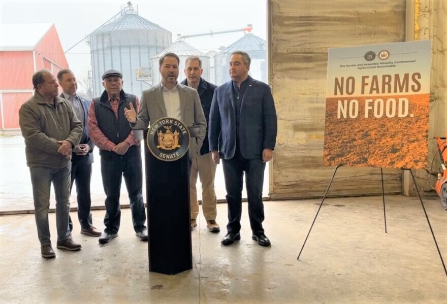 State Senate Republican and Minority Leader Robert Ortt (R–North Tonawanda) leads a news conference Thursday at Toussaint Farms in Medina. Fellow GOP state legislatorr joining him (left to right) are Assemblymember Stephen Hawley, Sen. Edward Rath, Assemblymember Angelo Morinello, Assemblymember Mike Norri and Sen. George Borrello. 