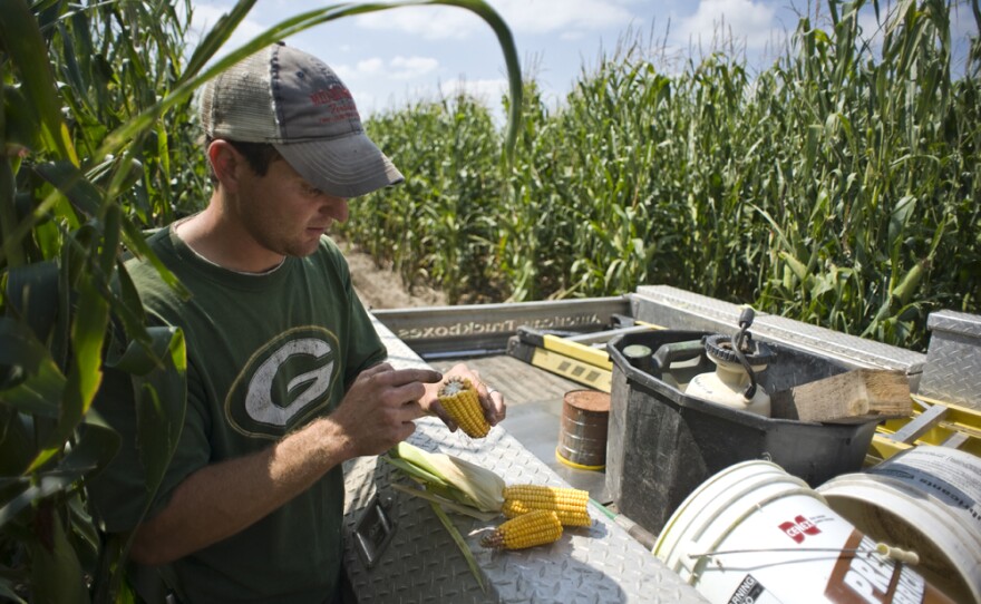 Aaron Troester farms about 5,000 irrigated acres in north-central Nebraska.