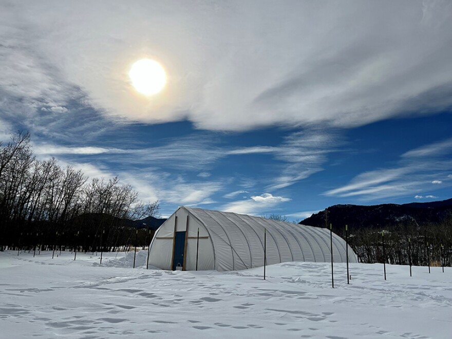 Farmer Sara Johnson’s hoop house and growing fields under three feet of snow in early February