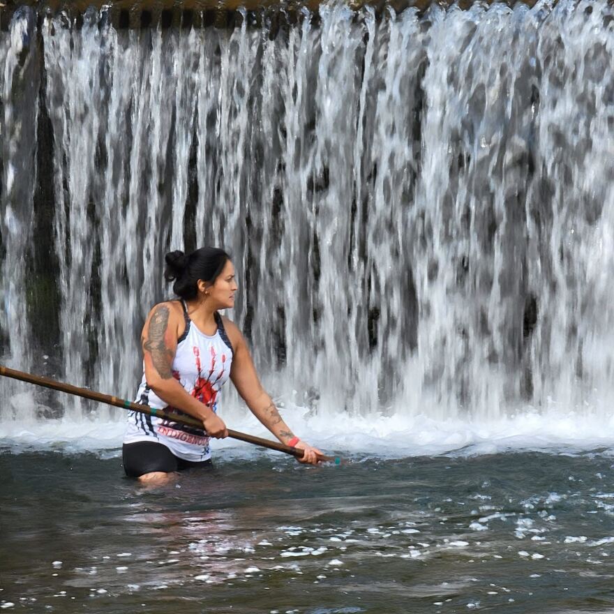 A woman with dark hair and tattooed arms wades in a creek, in front of a waterfall, fishing for salmon using a traditional dip net. 