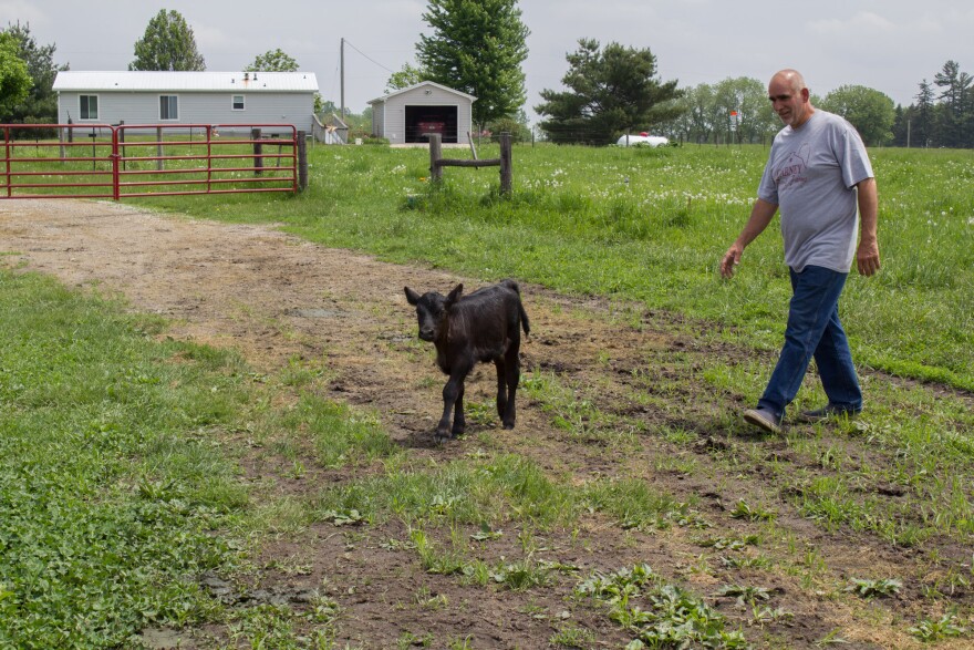 053118-am-Trees-Carney-calf.jpg