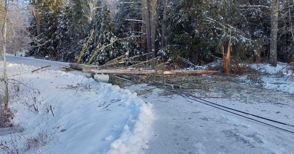 Thousands are without power after Saturday's storm took down trees ...