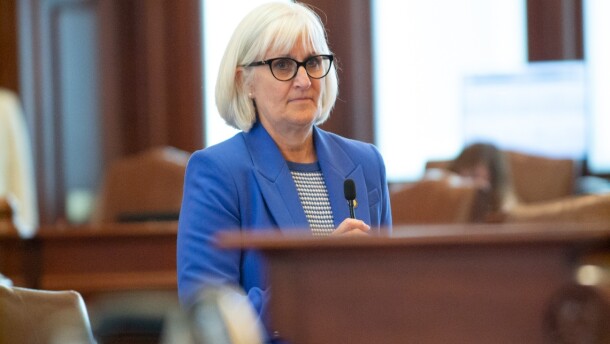 State Sen. Mary Edly-Allen on the Senate floor.