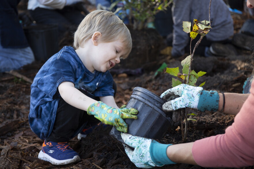 Three-year-old Laith Caceres helps his mom, Jessica, plant a tree in the Heritage Harbour Park microforest in Bradenton.