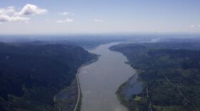 The Columbia River west of the Gorge as it heads toward Portland and out to the Pacific Ocean. (Credit: Amelia Templeton / OPB)