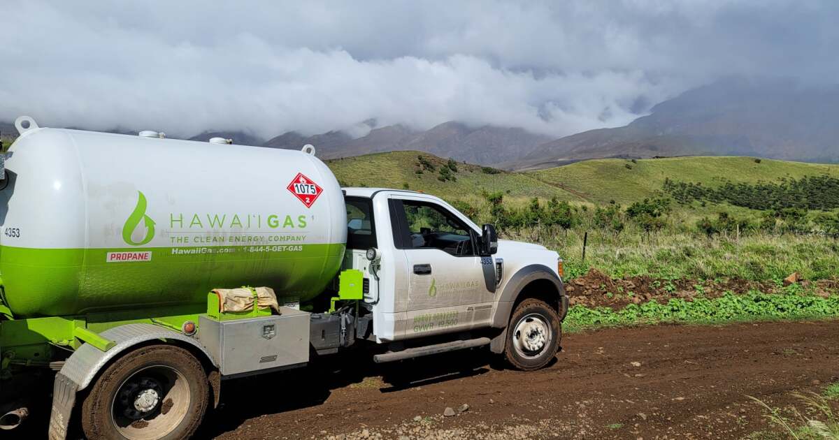 Hawaii Gas to Be Sold to New York Investment Firm Hawai'i Public Radio