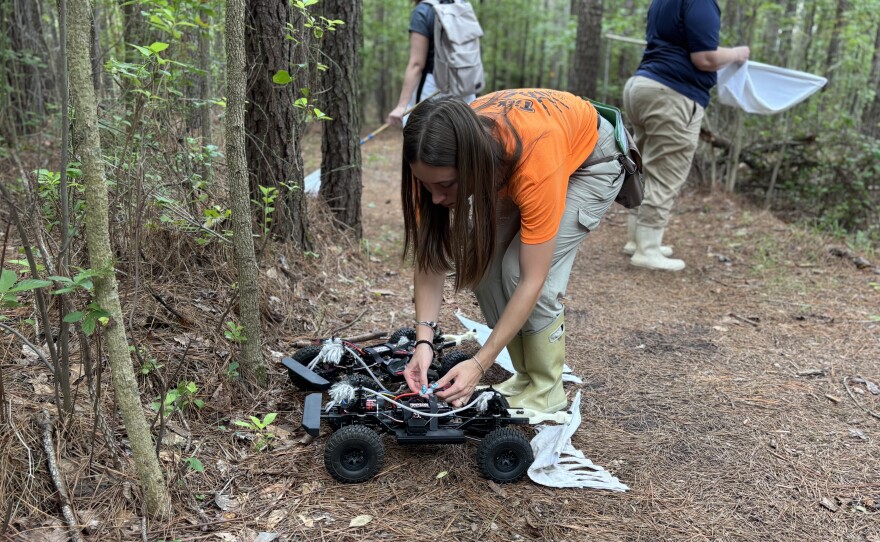ODU master's student Willow Baker sets up a 'TickBot' prototype on a neighborhood trail in Chesapeake on July 27, 2026.