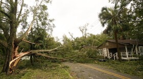 Trees and power lines block city streets Wednesday, Aug. 30, 2023, in Perry, Fla., in the aftermath of Hurricane Idalia.