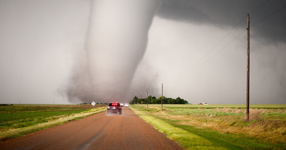 divertimento julian kaufmann dating show divertimento julian kaufmann dating show