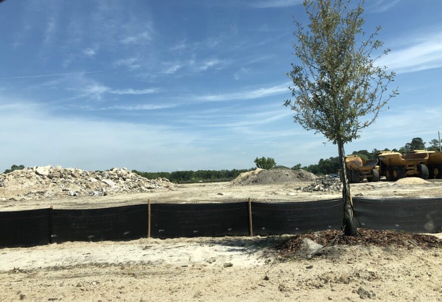 Heavily forested land was cut down along Tower road to create a new shopping plaza. (Anastasia Sims/WUFT News)