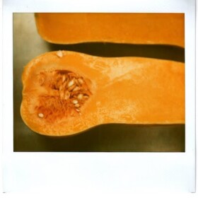 Butternut squash