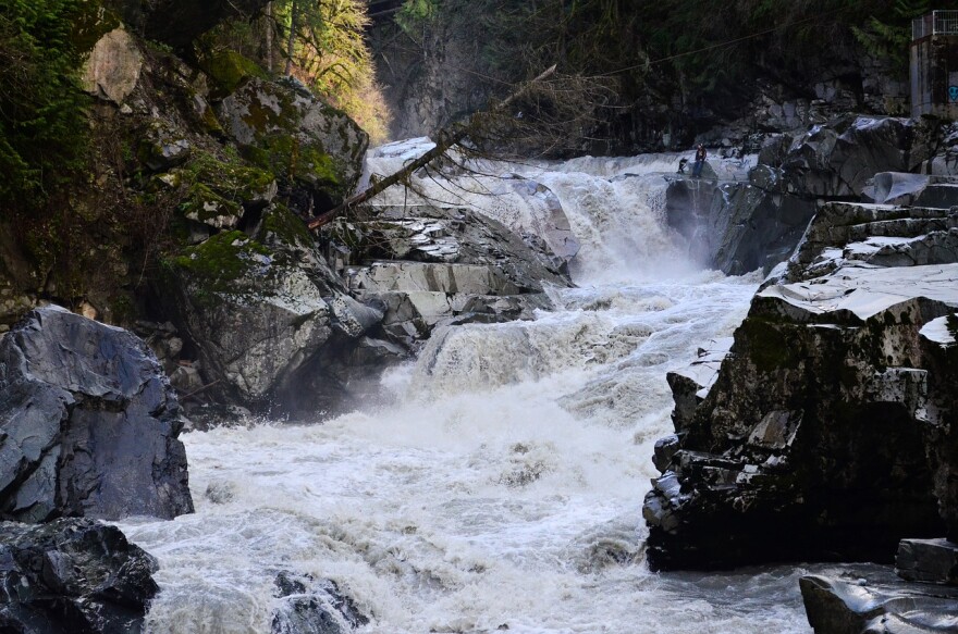 river-4934573_1280.jpg