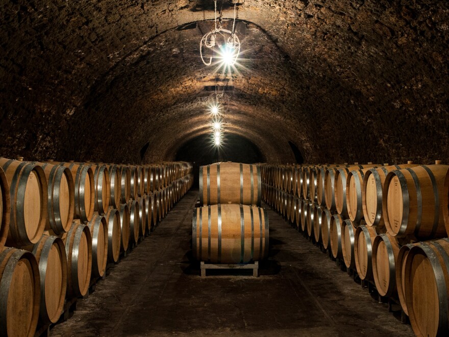 Inside Jacques Selosse's cellars, one of the leading grower Champagnes, where many new producers have apprenticed.