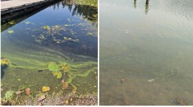 Idaho public health agencies have issued public health advisories for North Idaho’s Fernan Lake and the upper end of Hayden Lake.