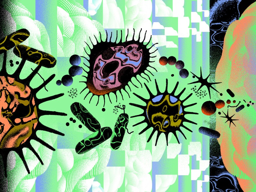 The search for the cause of Alzheimer's has so far come up dry. Some researchers are now asking if germs play a role.
