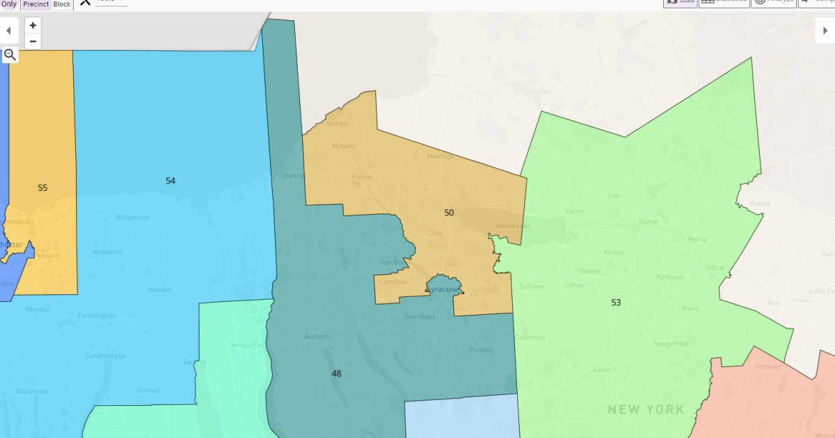 Hand recount of ballots begins in New York's 50th Senate District race ...