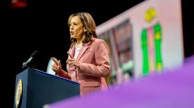 U.S. Vice President Kamala Harris speaks to members of the Alpha Kappa Alpha Sorority at the Kay Bailey Hutchison Convention Center in Dallas, Texas.